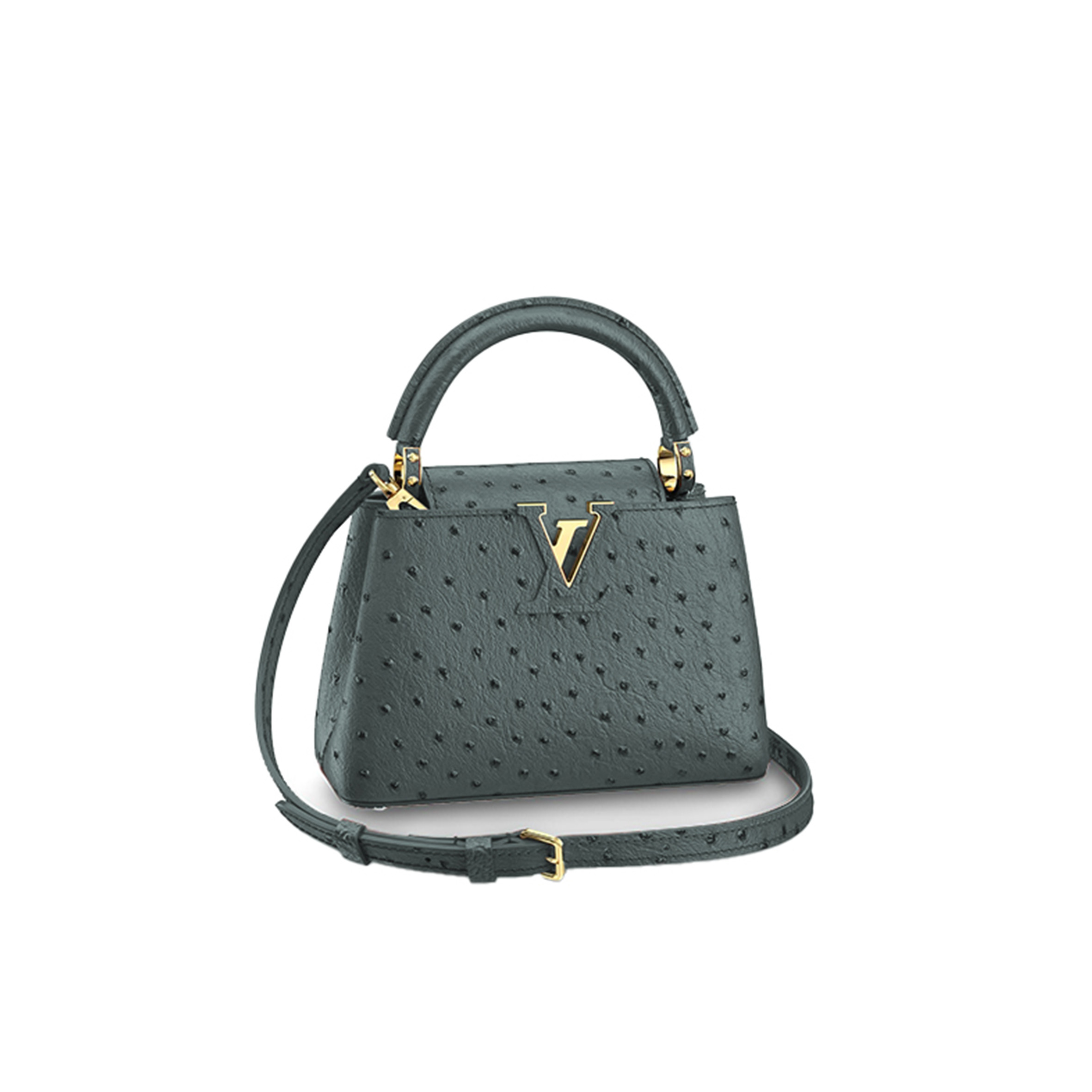LOUIS VUITTON CAPUCINES MINI M95509 (21*14*8cm)